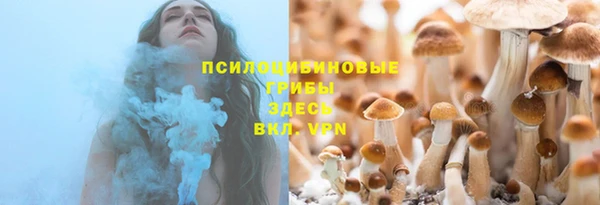спиды Карталы