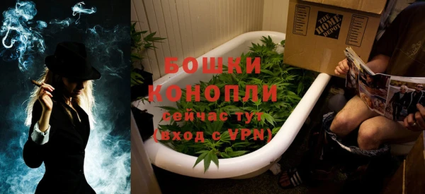 сатива Касимов