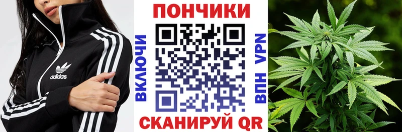 Бошки Шишки индика  Купить где  Выкса 